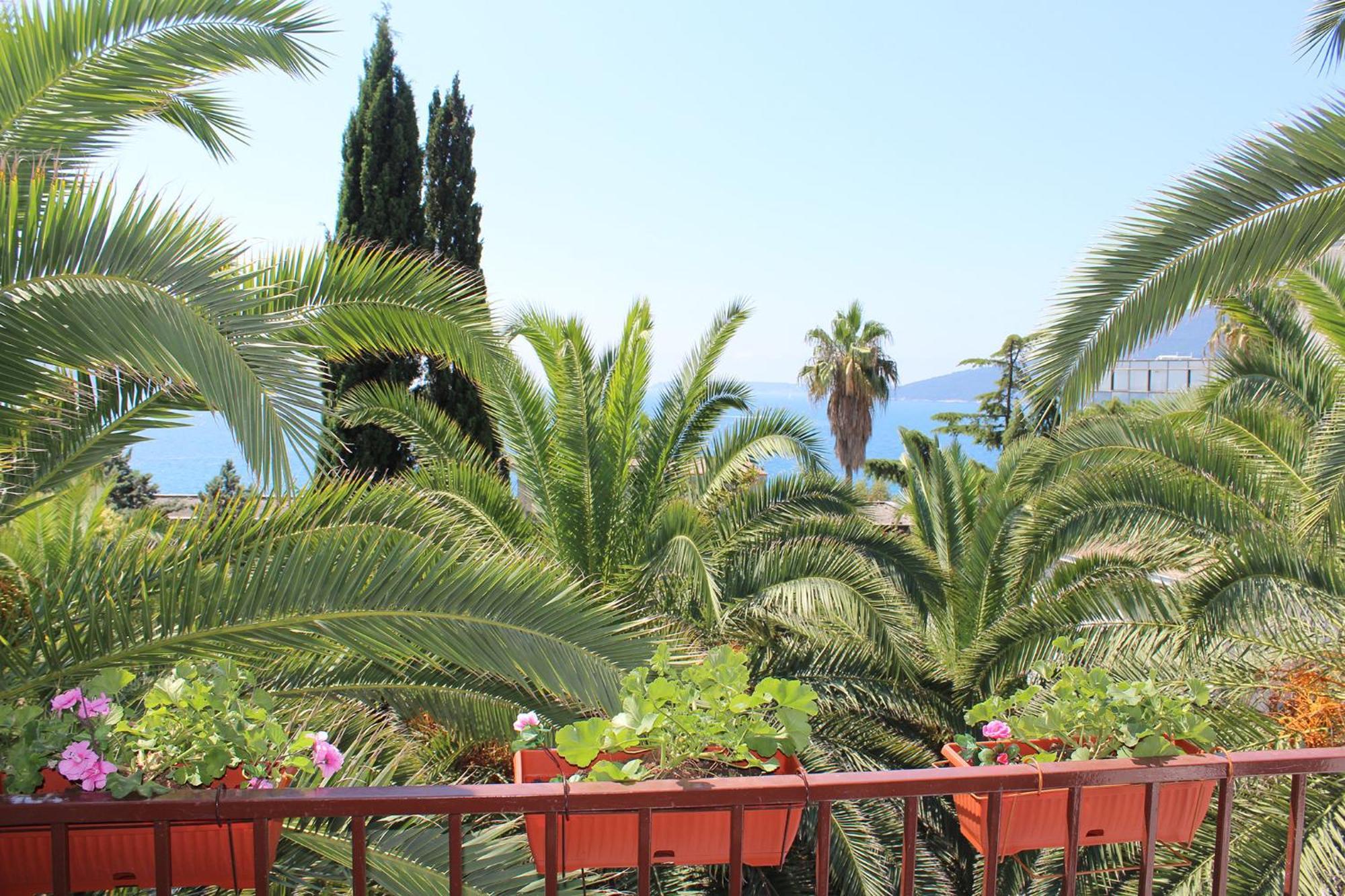 Apartmani I Sobe Goca Herceg Novi Buitenkant foto