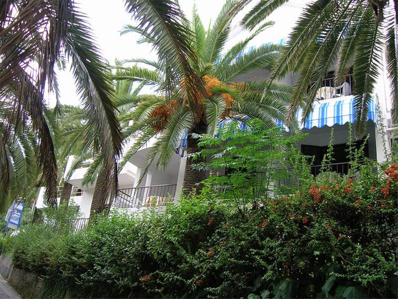 Apartmani I Sobe Goca Herceg Novi Buitenkant foto