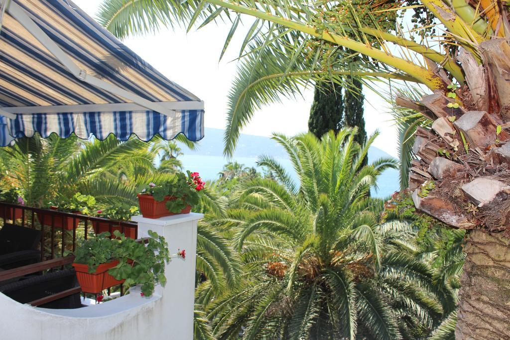 Apartmani I Sobe Goca Herceg Novi Buitenkant foto