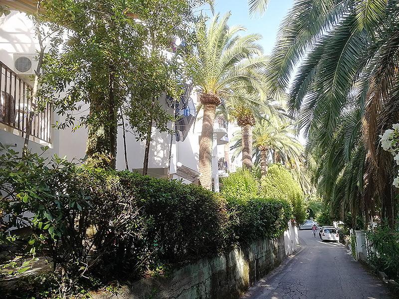 Apartmani I Sobe Goca Herceg Novi Buitenkant foto