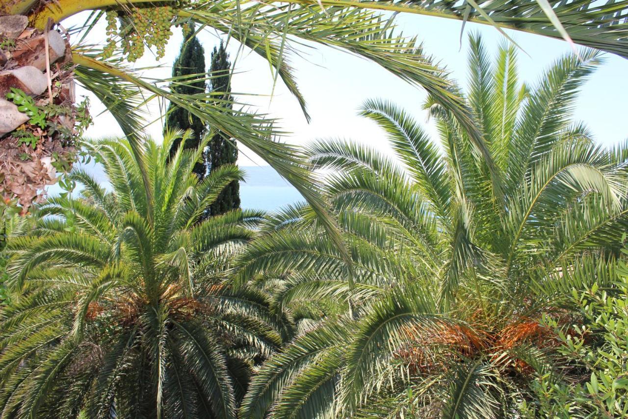 Apartmani I Sobe Goca Herceg Novi Buitenkant foto