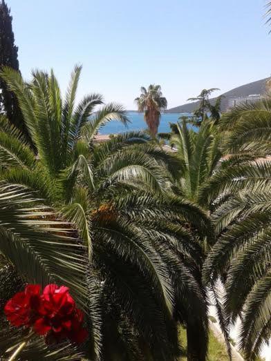 Apartmani I Sobe Goca Herceg Novi Buitenkant foto