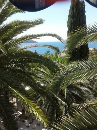 Apartmani I Sobe Goca Herceg Novi Buitenkant foto